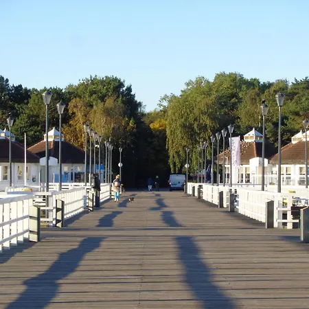 Street Art Zaspa - Wsrod Murali * グダニスク