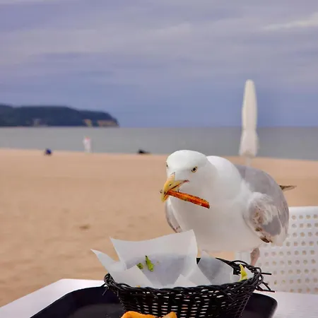 Apartment Street Art Zaspa - Wsrod Murali