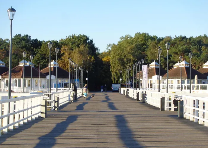 Street Art Zaspa - Wsrod Murali * Gdańsk